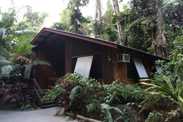 The dorm at the Jungle Lodge