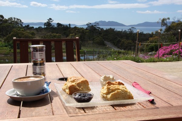 Morning Tea with a view