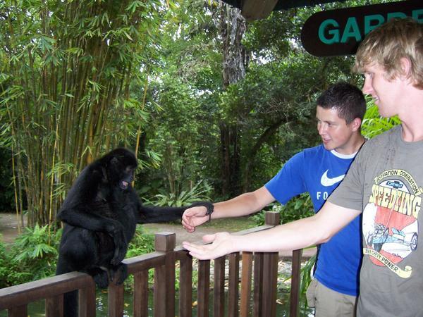 Dan getting friendly with a monkey!