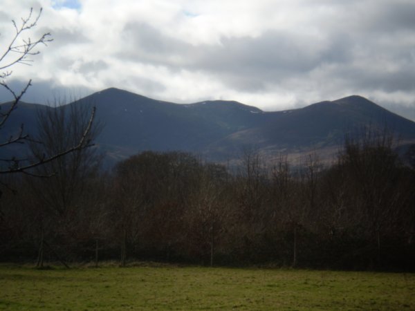 Killarney Mountains