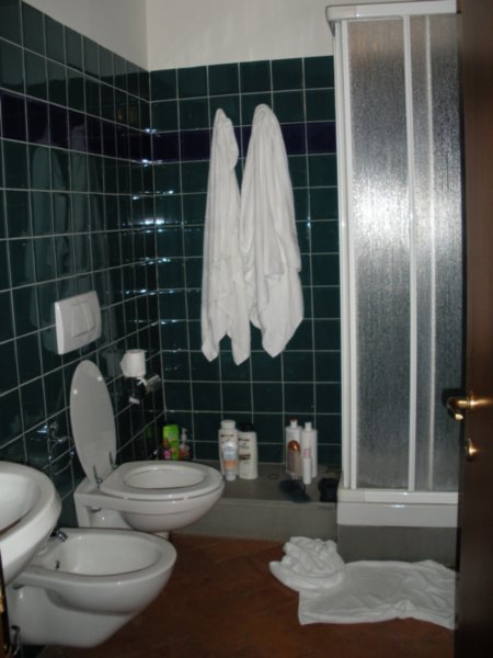 nice sized bathroom, but note that the shower is barely big enough for a small child.