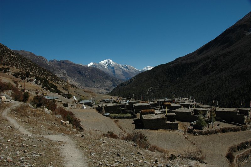 Khangsar 3745 m. 