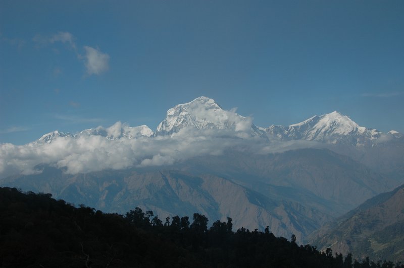 Dhaulagiri 8172 m. & Tukuche Peak 6920 m. from Ghorepani