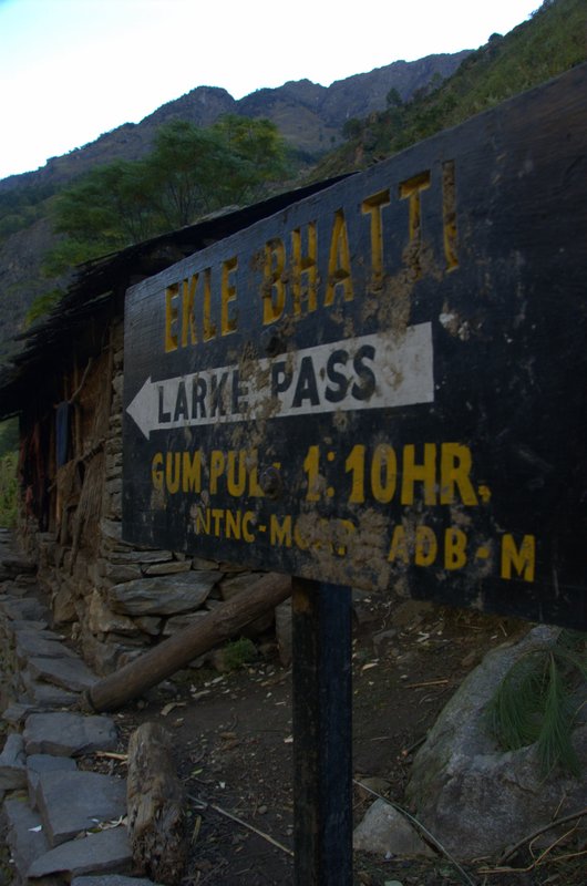 Ekle Bhatti 1600 m.