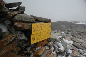 Col de la Seigne 2516 m.