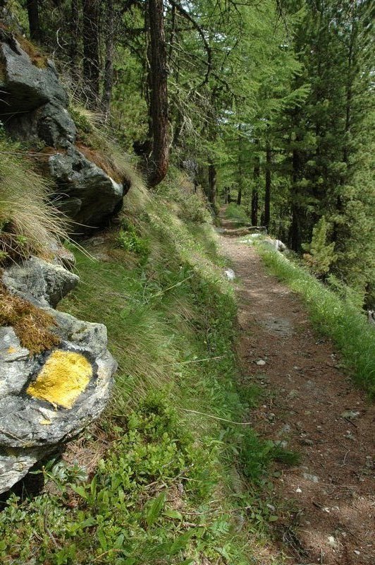 Trail from  Arolla to Lac Bleu
