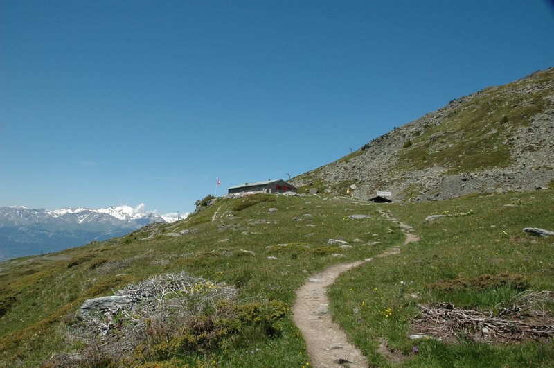 Cabane Bella Tola 2346 m.