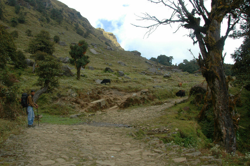 Trail between Basantapur and Ghurbise