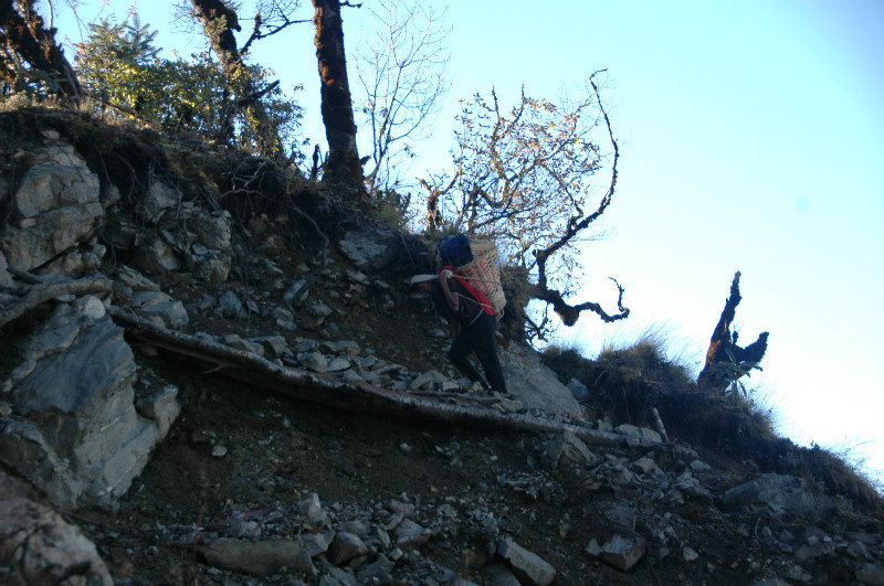 Porter balancing his steps near Lasiya Bhanjyang