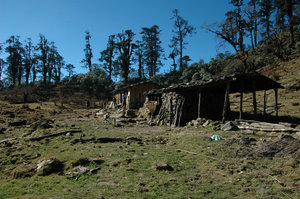 Wooden bhatti at Lasiya Bhanjyang 3415 m.
