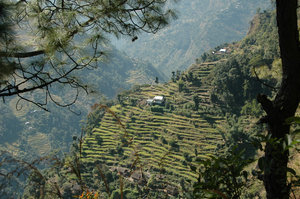 Scattered houses on steep slopes 40 minutes down from Khebang