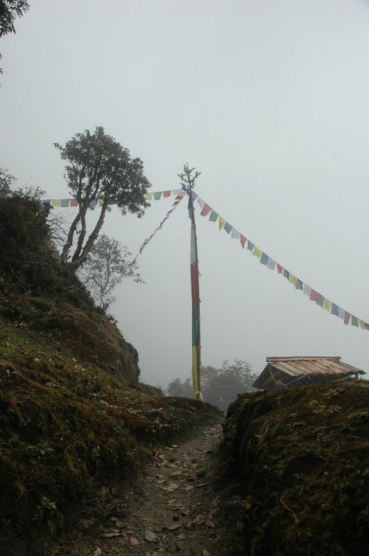 Pangum La Pass 3173 m