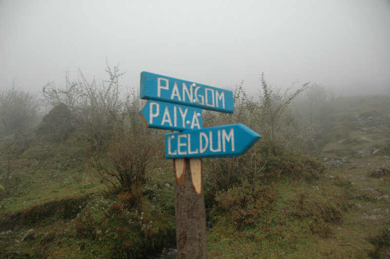 Trail junction in Pangum