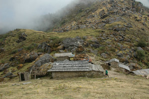 Salpa Bhanjyang 3350 m