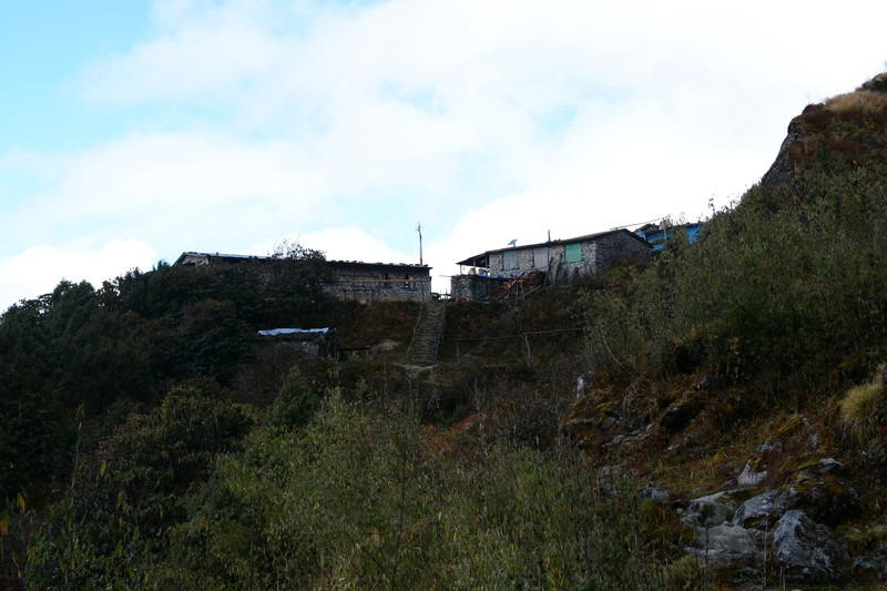 Gopte 3440 m. located between Tharepati and Phedi