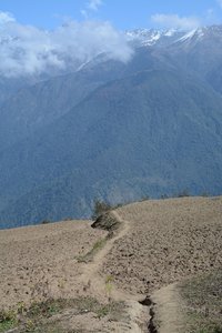 The trail between Thuman and Nagthali