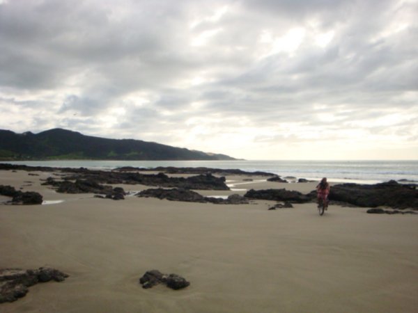 Beach landscape