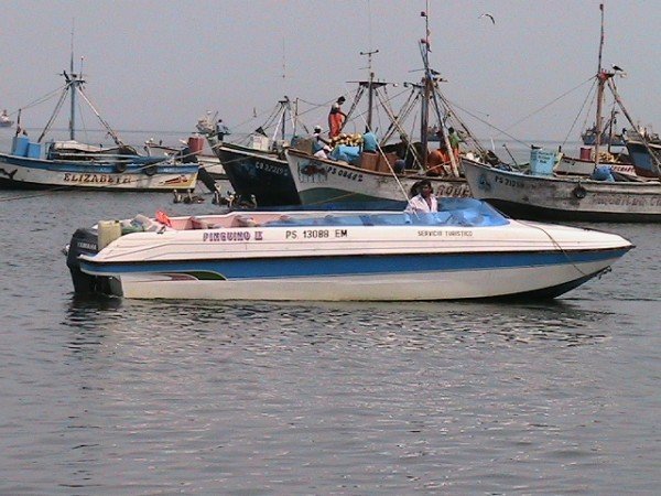 Boat trip to Paracas Island