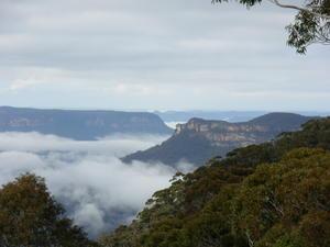 Morning at the blue mountains