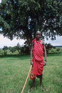 Young Massai Warrior