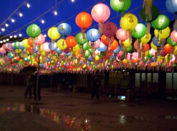 Donghwasa Temple Lantern Lighting