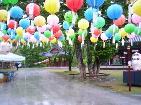 Donghwasa Temple Lanterns