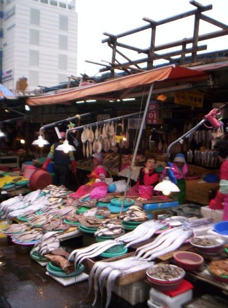 Jalgalchi Fish Market