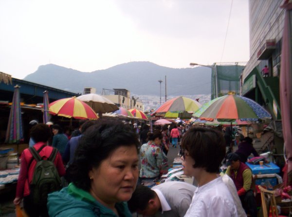 A shot of the market with the mountains in the background.