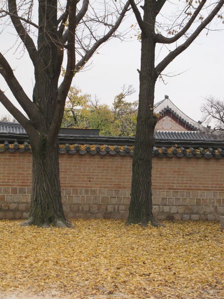 Autumn at Gyeongbokgung