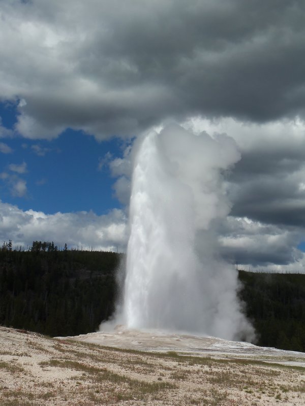 Old Faithful