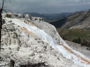 Mammoth Hot Springs - Yellowstone