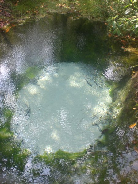 Sacred Bubbling Pond