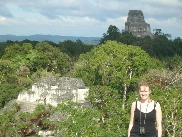 view from one of the temples at Tikal