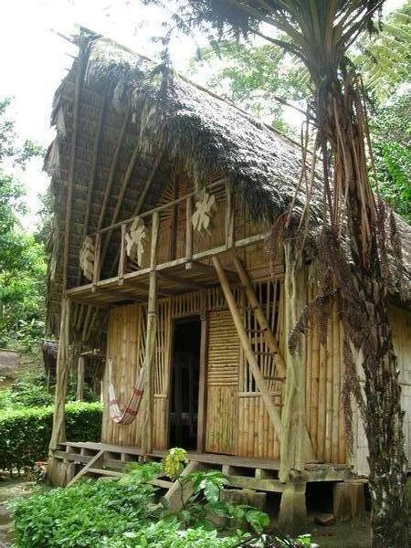 Jungle Lodge