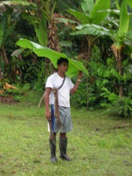 Palm leaf umbrella!