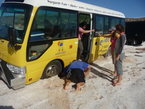 Our bogged bus