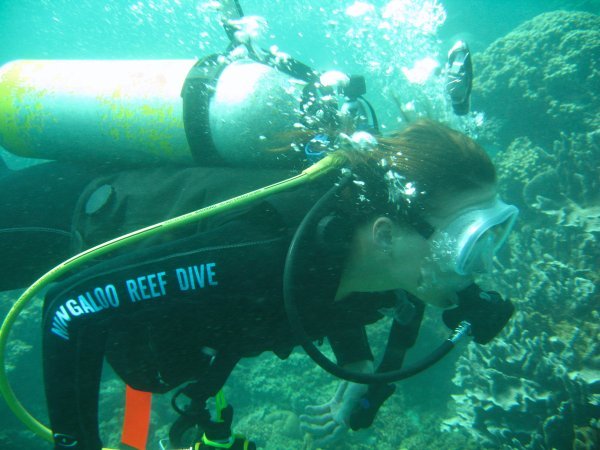 Diving on the Ningaloo Reef