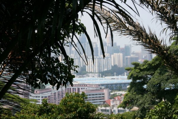 View of City from Mt Faber