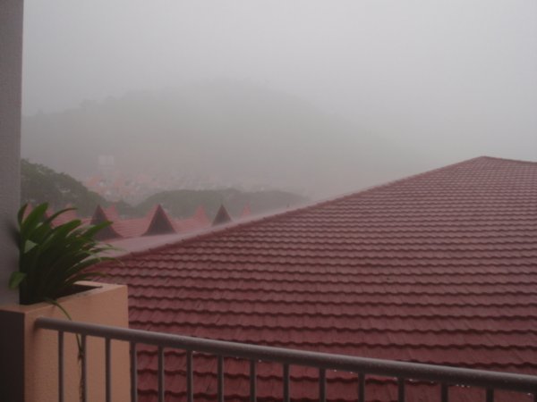 Monsoon morning