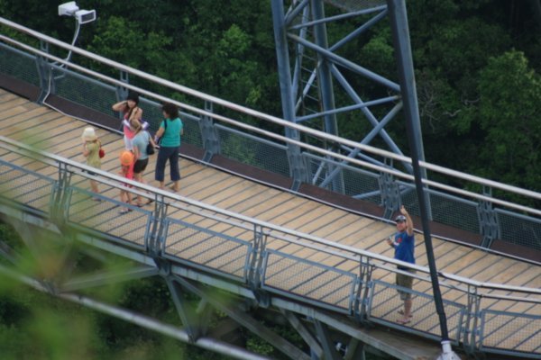 10 Harveys on suspension bridge