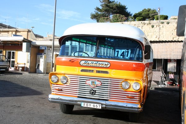 65 Maltese Bus