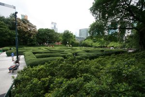 21 Kowloon Park Maze