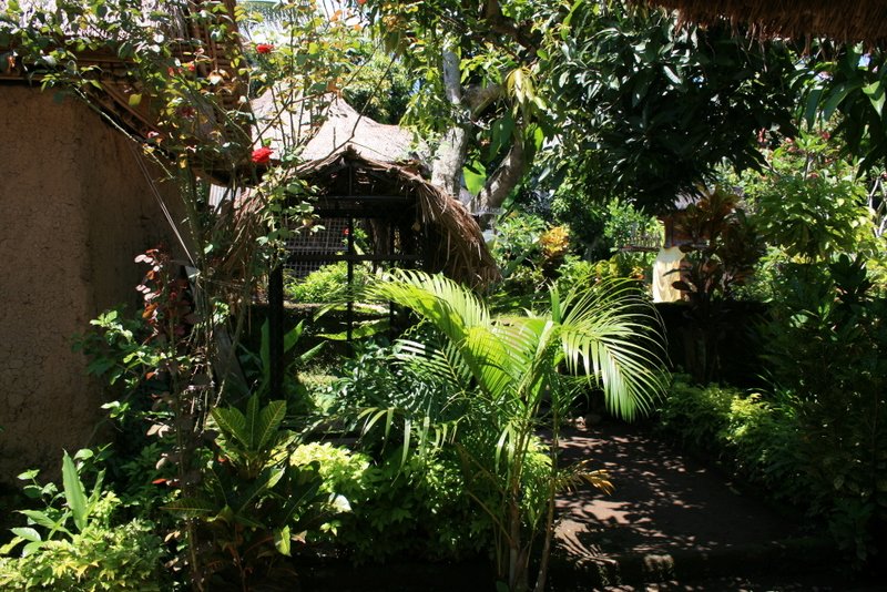 11 Gardens in  compound