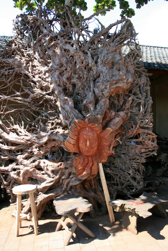16 Wood carving in huge tree roots
