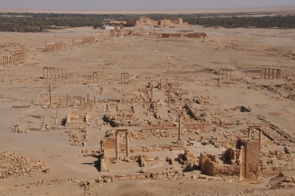 The amazing view of Palmyra - taken after a hot and dusty climb