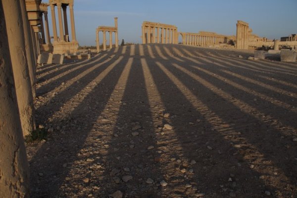 Late afternoon shadows in Palmyra