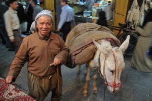 A man and his donkey - Aleppo souq, Syria