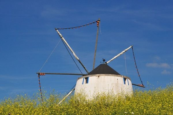 An old windmill in rural Portugal