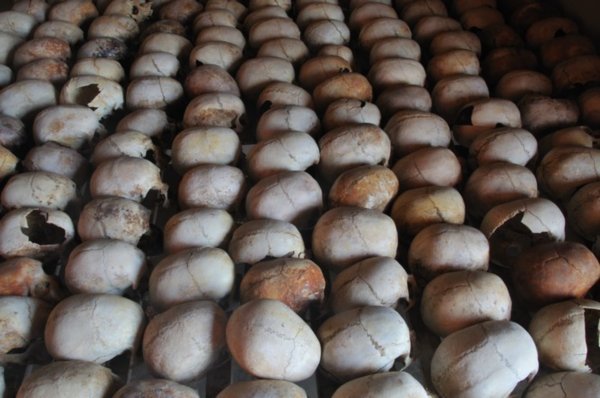 Lines of skulls - Murambi Genocide Memorial, Rwanda