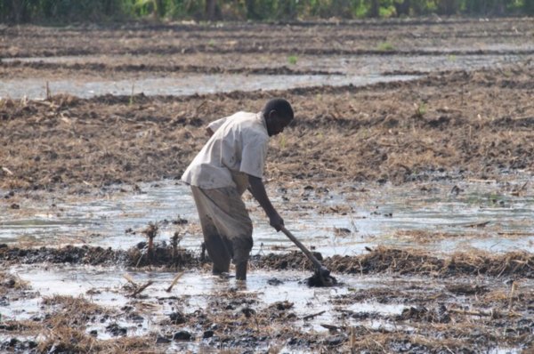 Farmer tilling the fields - Mto Wa Mbu, Tanzania